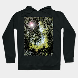 Sun Through The Trees Hoodie